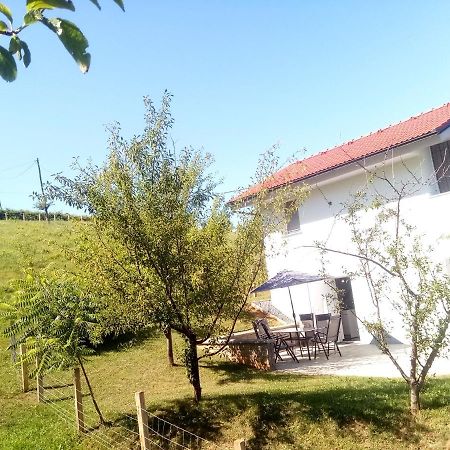 Grajsko Villa เมทลิกา ภายนอก รูปภาพ