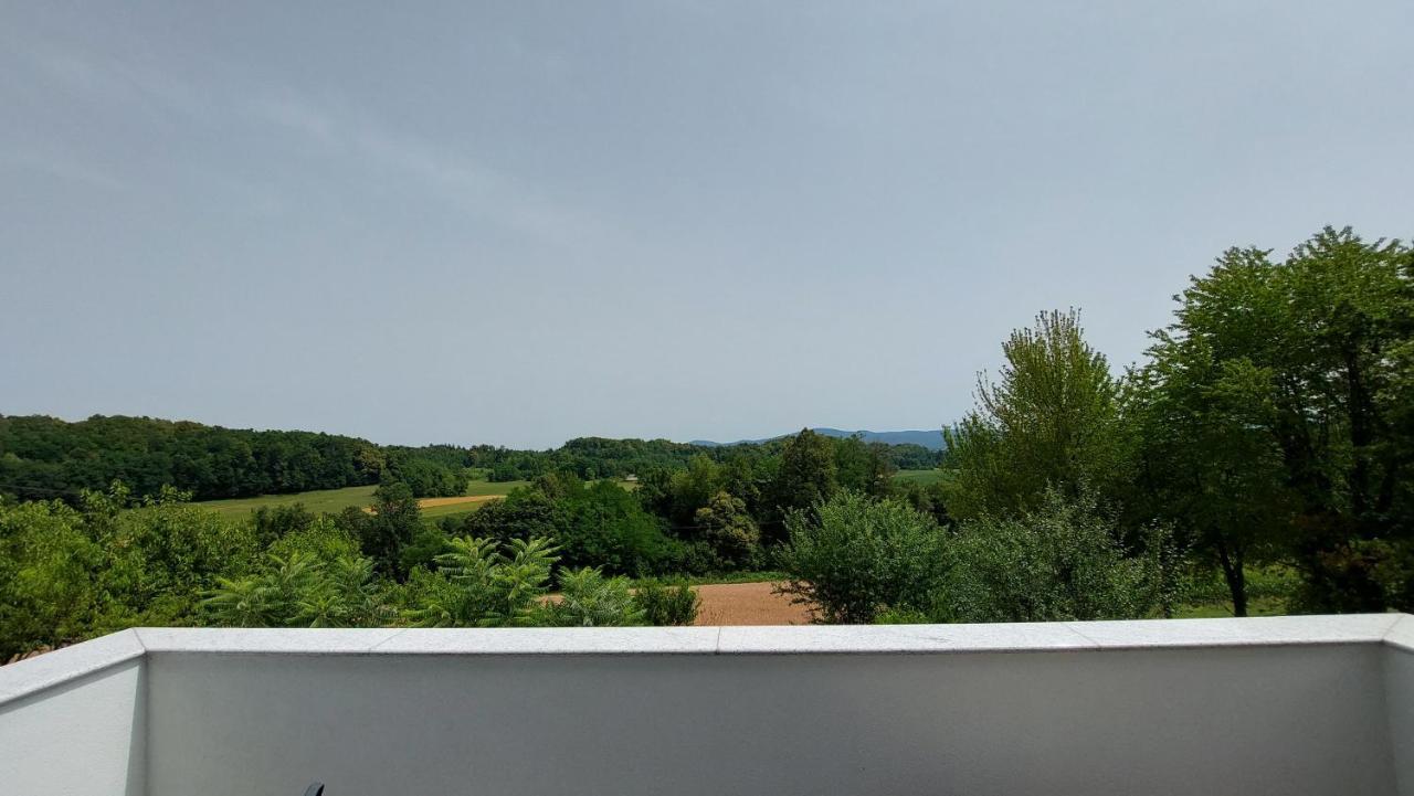 Grajsko Villa เมทลิกา ภายนอก รูปภาพ