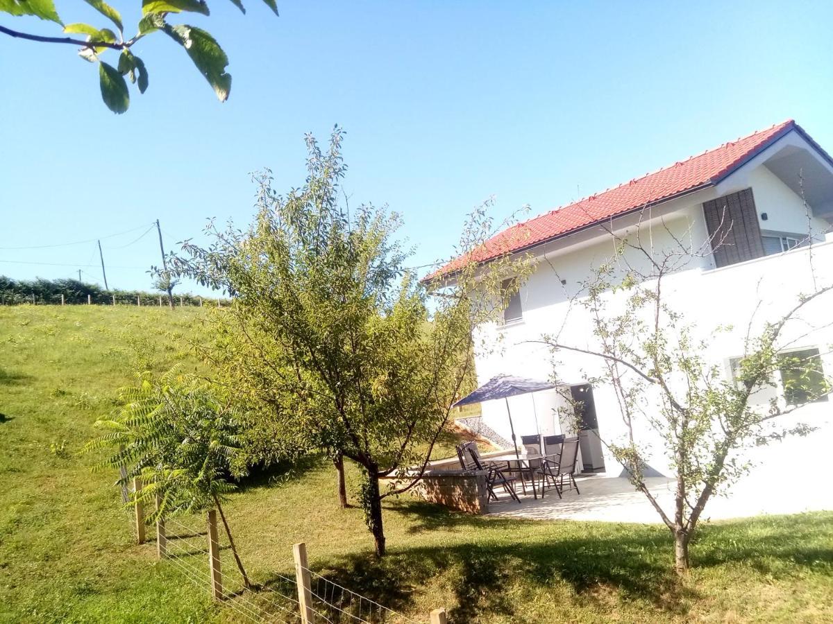 Grajsko Villa เมทลิกา ภายนอก รูปภาพ